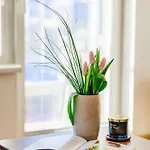 Sunny With Amazing Terrace On The 13th Floor Near Center Apartment *